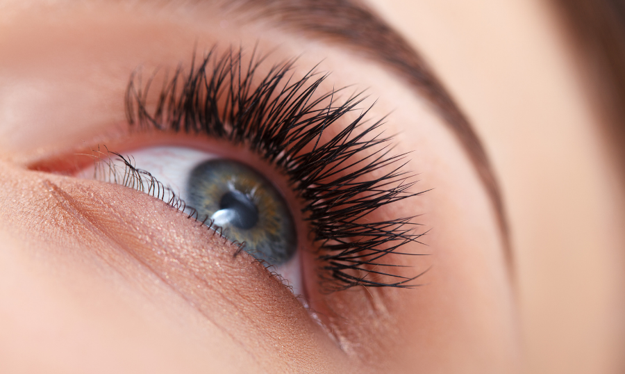 The Importance of Eyelashes