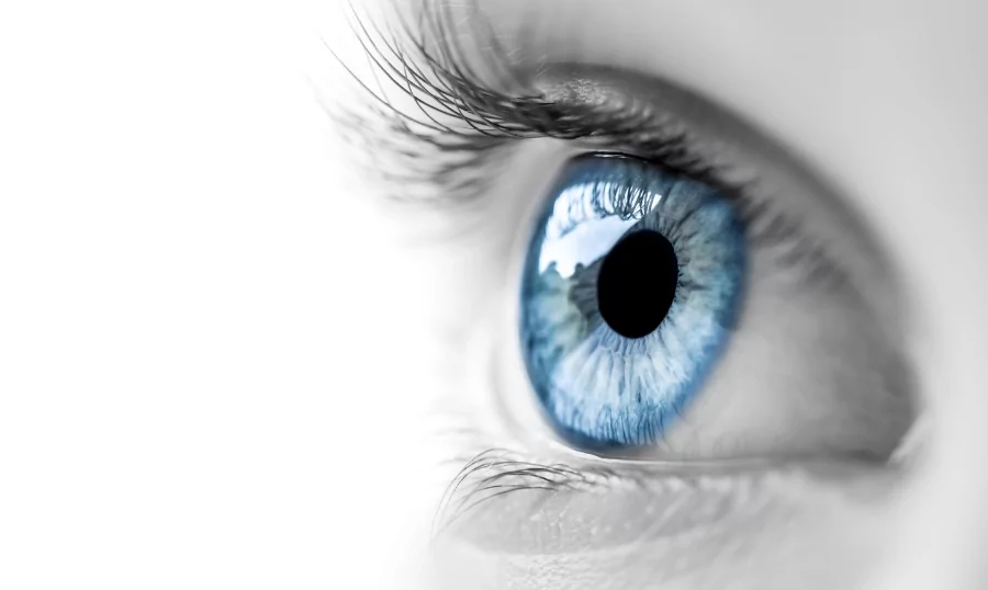 A close up image of blue eye