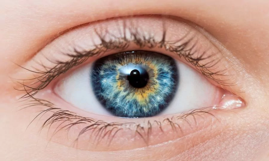 6 Fascinating Facts About Blue Eyes